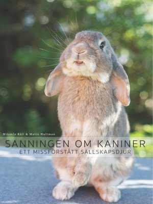 cover image of Sanningen om kaniner